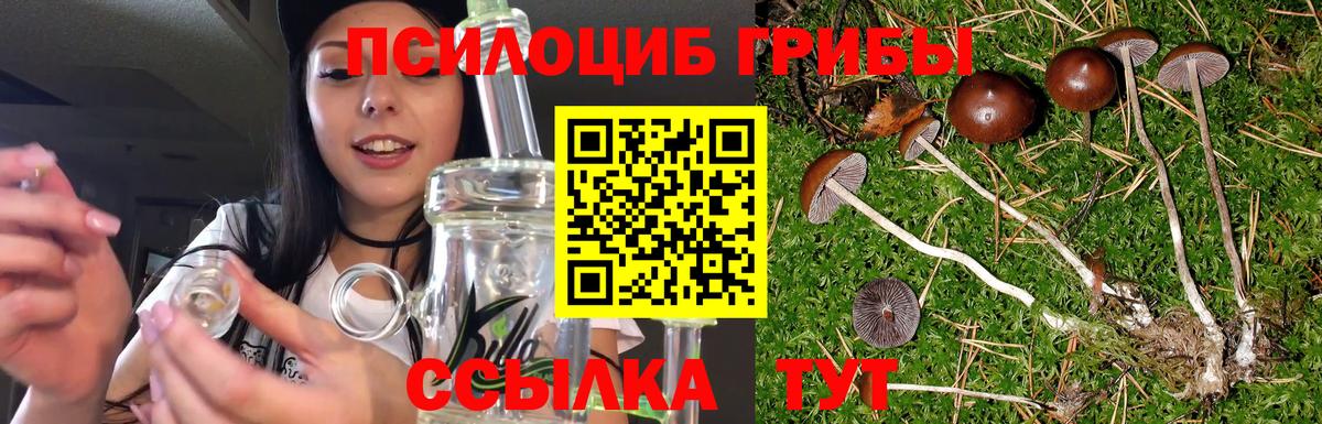 Галлюциногенные грибы Зеленогорск